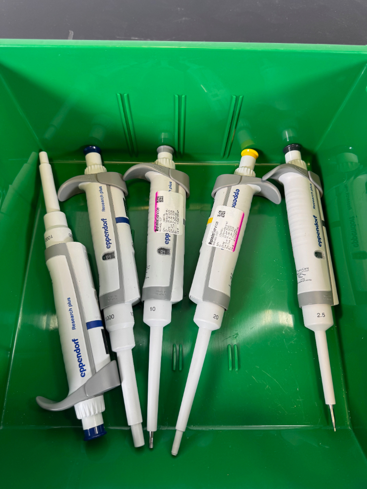 Image of Eppendorf Research Plus Single Channel Pipettes - Quantity 5